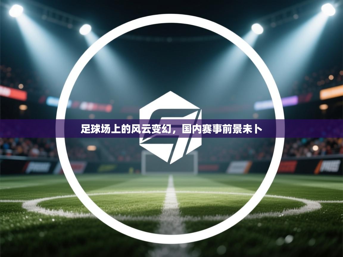 足球场上的风云变幻,国内赛事前景未卜 第2张
